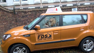 Fake Driving School a percerz viszgabiztos elcsábítja a férfit